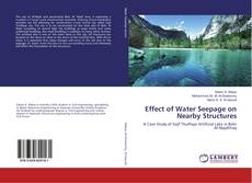 Buchcover von Effect of Water Seepage on Nearby Structures