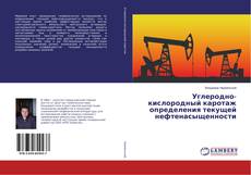 Couverture de Углеродно-кислородный каротаж определения текущей нефтенасыщенности