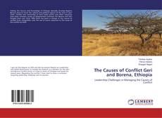Buchcover von The Causes of Conflict Geri and Borena, Ethiopia