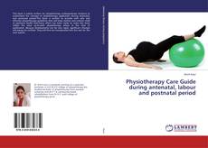 Buchcover von Physiotherapy Care Guide during antenatal, labour and postnatal period