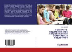 Buchcover von Психолого-педагогическое сопровождение агрессивных подростков