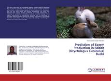 Buchcover von Prediction of Sperm Production in Rabbit (Oryctolagus Cuniculus) Bucks