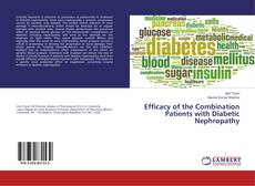 Efficacy of the Combination Patients with Diabetic Nephropathy kitap kapağı