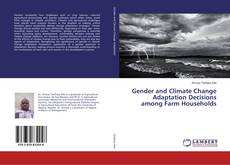 Buchcover von Gender and Climate Change Adaptation Decisions among Farm Households
