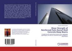Bookcover of Shear Strength of Reinforced Palm Kernel Shell Concrete Deep Beams