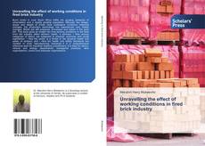 Buchcover von Unravelling the effect of working conditions in fired brick industry