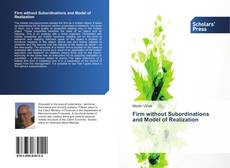 Bookcover of Firm without Subordinations and Model of Realization