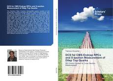 DCS for CMS Endcap RPCs and X-section Measurement of Dilep Top Quarks kitap kapağı