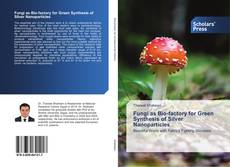 Capa do livro de Fungi as Bio-factory for Green Synthesis of Silver Nanoparticles 