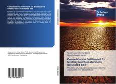 Portada del libro de Consolidation Settlement for Multilayered Unsaturated / Saturated Soil