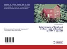 Bookcover of Determinants of Small and Medium sized Enterprises' growth in Uganda
