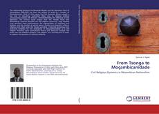 Buchcover von From Tsonga to Moçambicanidade