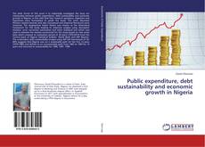 Buchcover von Public expenditure, debt sustainability and economic growth in Nigeria