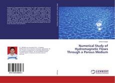 Bookcover of Numerical Study of Hydromagnetic Flows Through a Porous Medium