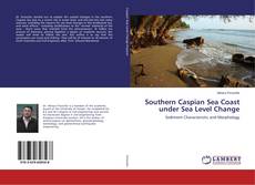 Bookcover of Southern Caspian Sea Coast under Sea Level Change
