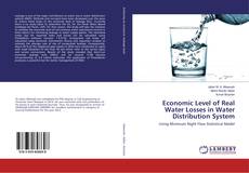 Copertina di Economic Level of Real Water Losses in Water Distribution System