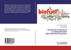 Buchcover von Enzymatic hydrolysis of delignificated lignocellulosic biomass