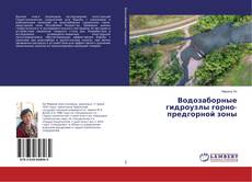 Bookcover of Водозаборные гидроузлы горно-предгорной зоны