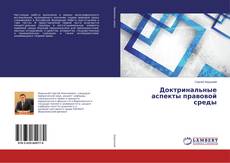 Bookcover of Доктринальные аспекты правовой среды