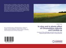 Buchcover von In vitro and in planta effect of Chromolaena odorata and Candida sp