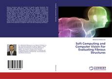 Soft Computing and Computer Vision For Evaluating Fibrous Structures kitap kapağı