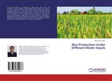 Buchcover von Rice Production Under Different Water Inputs