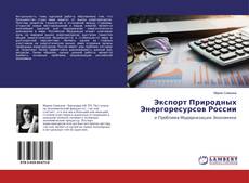 Экспорт Природных Энергоресурсов России的封面