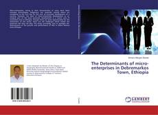 Copertina di The Determinants of micro-enterprises in Debremarkos Town, Ethiopia