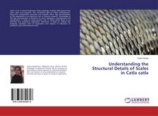 Copertina di Understanding the Structural Details of Scales in Catla catla