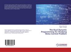 Buchcover von The Dual Dynamic Programming for Studying Bolza Control Problem