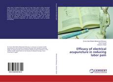 Copertina di Efficacy of electrical acupuncture in reducing labor pain