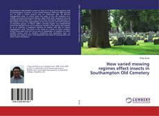Copertina di How varied mowing regimes effect insects in Southampton Old Cemetery