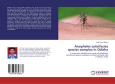 Bookcover of Anopheles culicifacies species complex in Odisha