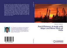 Copertina di Port Efficiency: A study with Major and Minor Ports of India