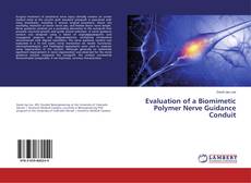 Borítókép a  Evaluation of a Biomimetic Polymer Nerve Guidance Conduit - hoz