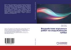 Buchcover von Воздействие взрывных работ на окружающую среду