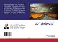 Buchcover von Image Fusion in the Multi-Scale Transforms Domain