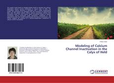 Borítókép a  Modeling of Calcium Channel Inactivation in the Calyx of Held - hoz