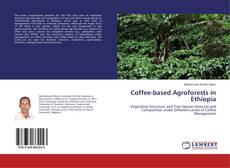 Copertina di Coffee-based Agroforests in Ethiopia