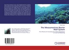 Borítókép a  The Mesoamerican Barrier Reef System - hoz