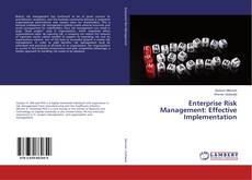 Copertina di Enterprise Risk Management: Effective Implementation