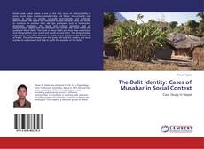 Buchcover von The Dalit Identity: Cases of Musahar in Social Context