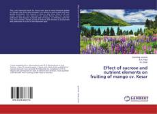 Copertina di Effect of sucrose and nutrient elements on fruiting of mango cv. Kesar