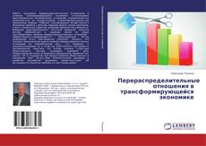 Copertina di Перераспределительные отношения в трансформирующейся экономике