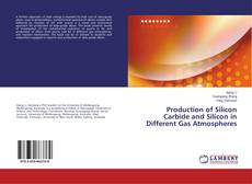 Buchcover von Production of Silicon Carbide and Silicon in Different Gas Atmospheres
