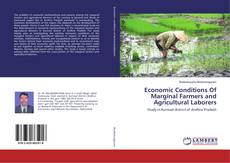 Copertina di Economic Conditions Of Marginal Farmers and Agricultural Laborers