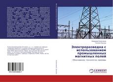 Buchcover von Электроразведка с использованием промышленных магнитных полей