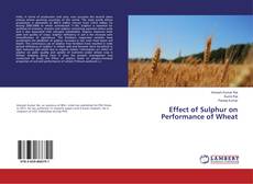 Borítókép a  Effect of Sulphur on Performance of Wheat - hoz