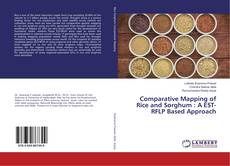 Buchcover von Comparative Mapping of Rice and Sorghum : A EST-RFLP Based Approach