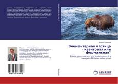 Borítókép a  Элементарная частица - квантовая или формальная? - hoz